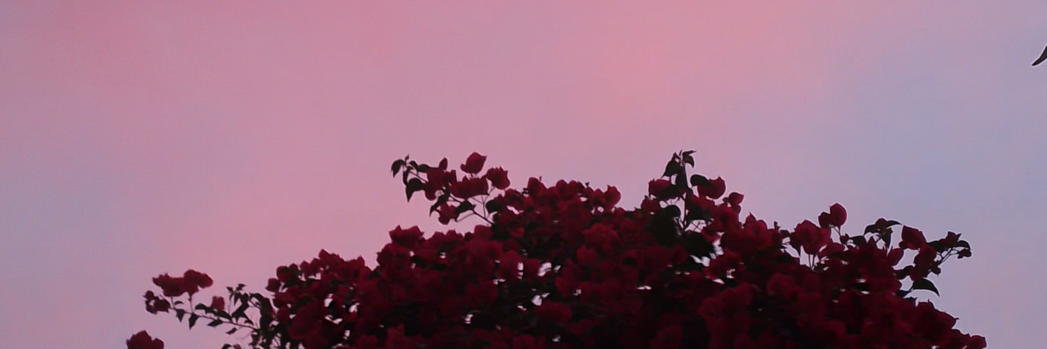 brii304's profile banner image