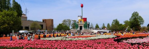 m_lily0323 Profile Banner