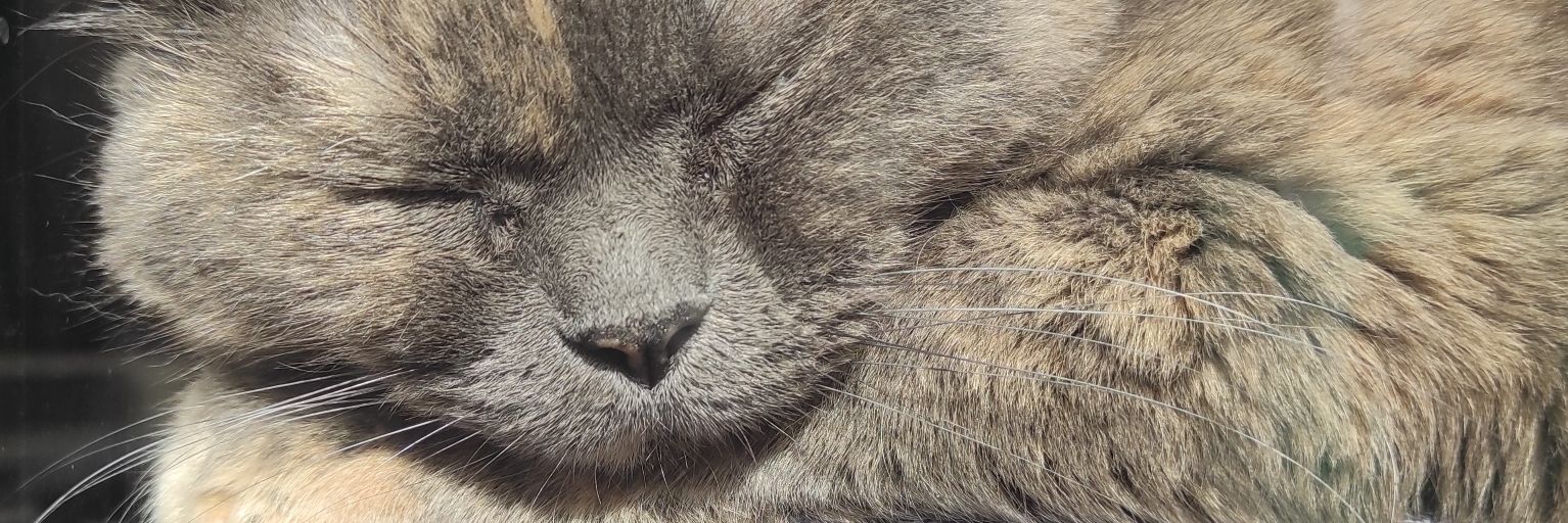 bea_1205's profile banner image