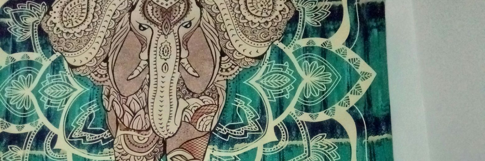 FlowerBurrito's profile banner image