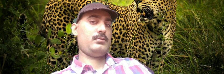 suniltripathi94's profile banner image