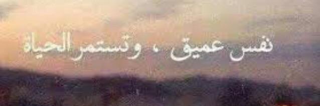 QV_more's profile banner image