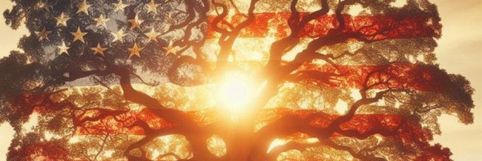JEOS833's profile banner image