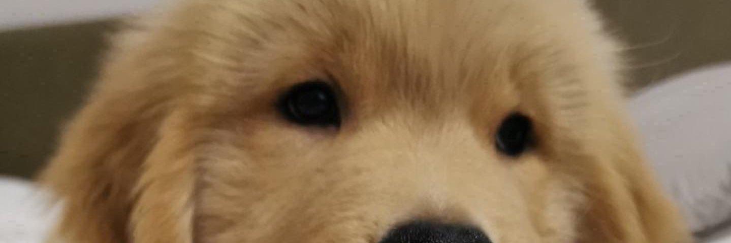 aeiipeim's profile banner image