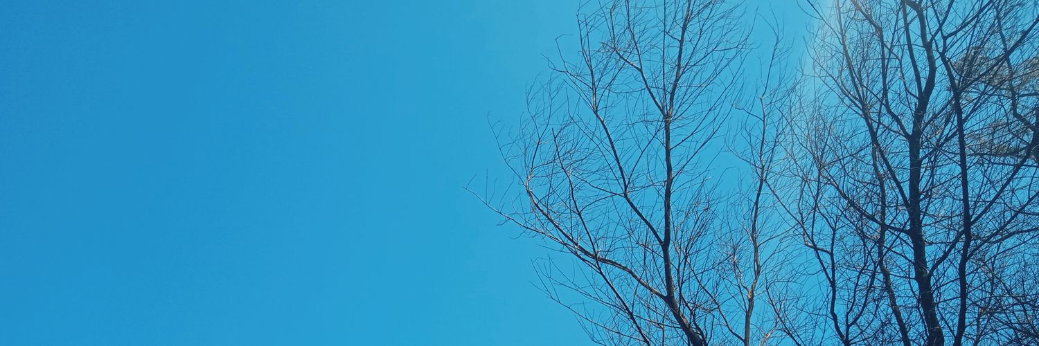 Dimaslaah's profile banner image