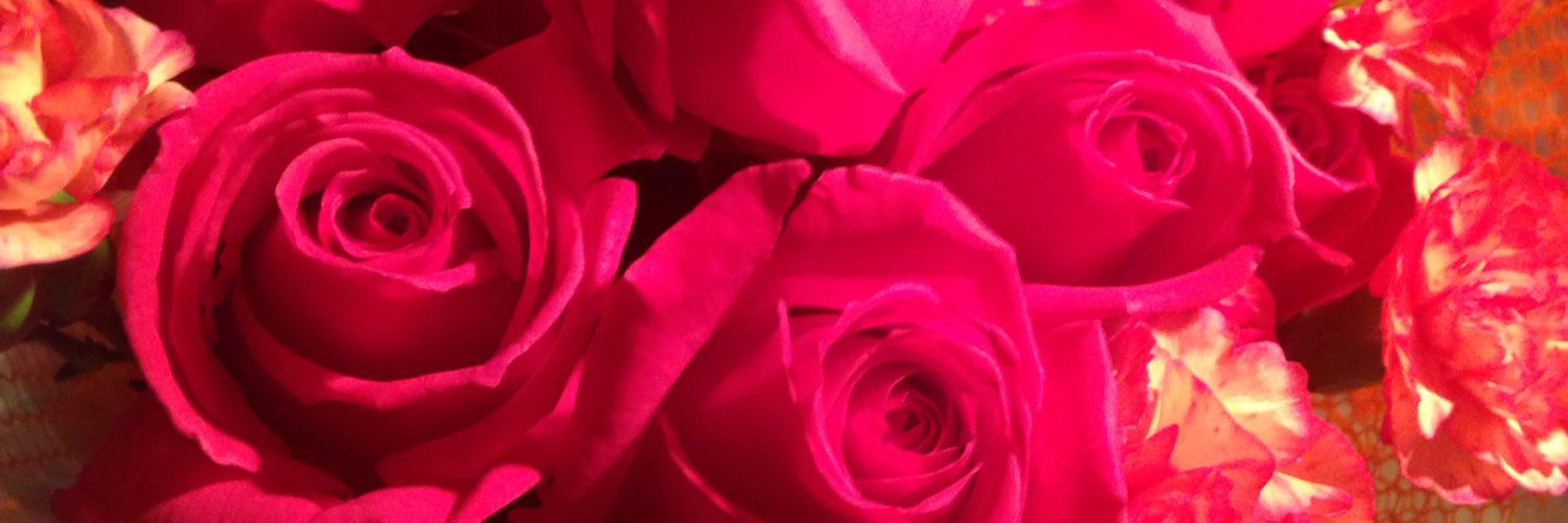 MeaganAmbar_'s profile banner image