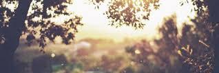 nPoCTo_nCuX_'s profile banner image