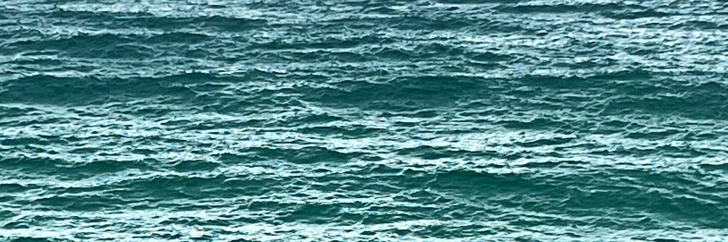 camicollada's profile banner image