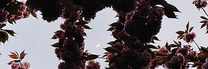 horizonfeels's profile banner image