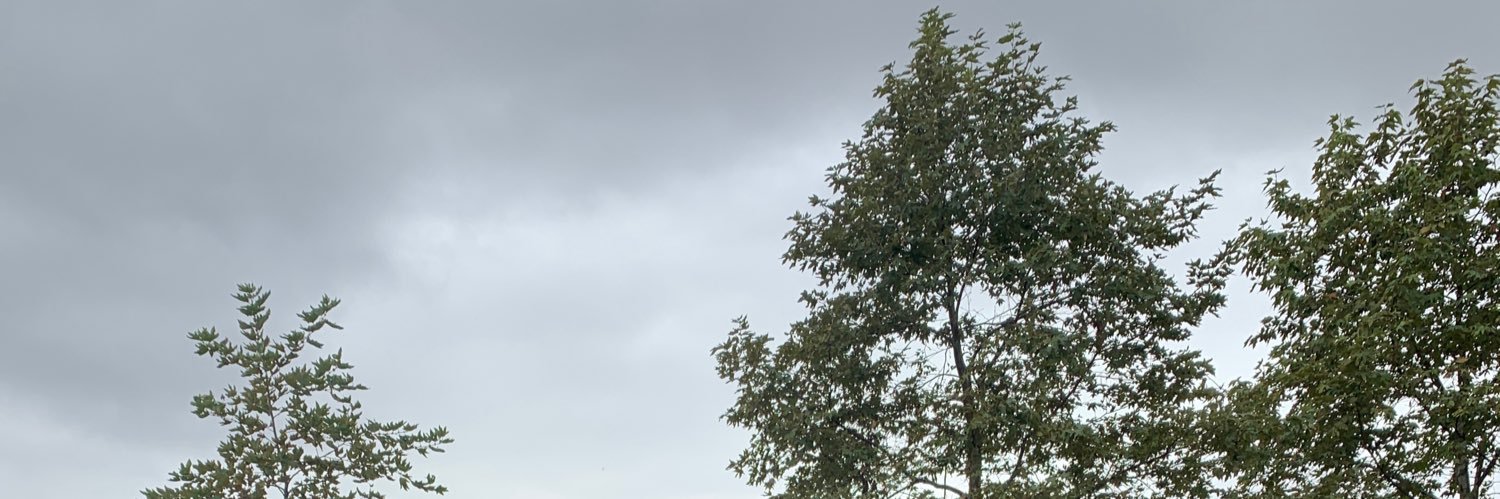 imrafael23's profile banner image