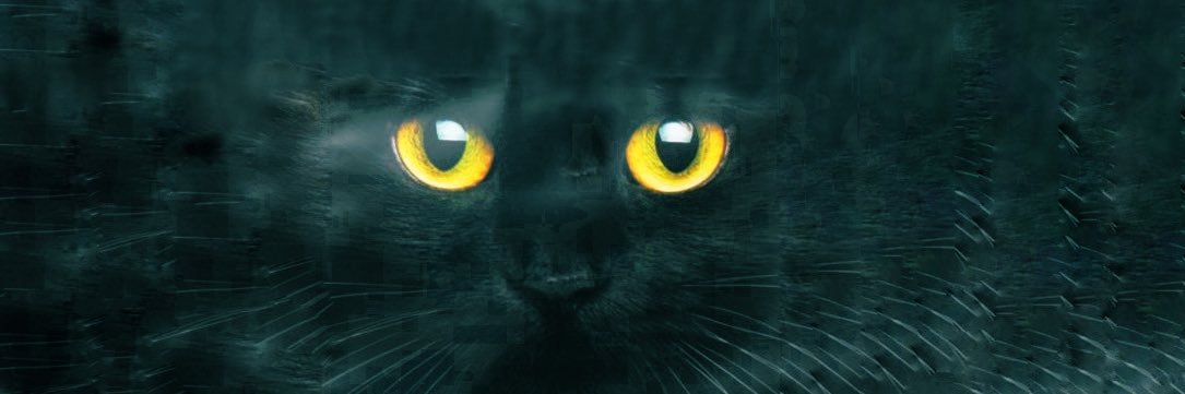 9625yuu's profile banner image