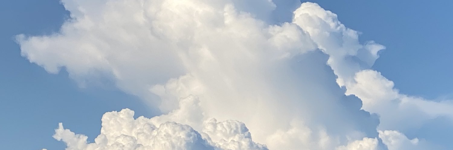 TTaoda's profile banner image