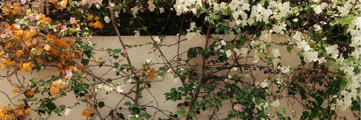 HaileyVelastro's profile banner image