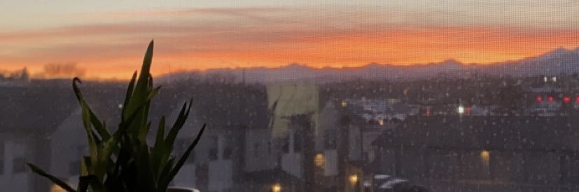 linnymjones's profile banner image