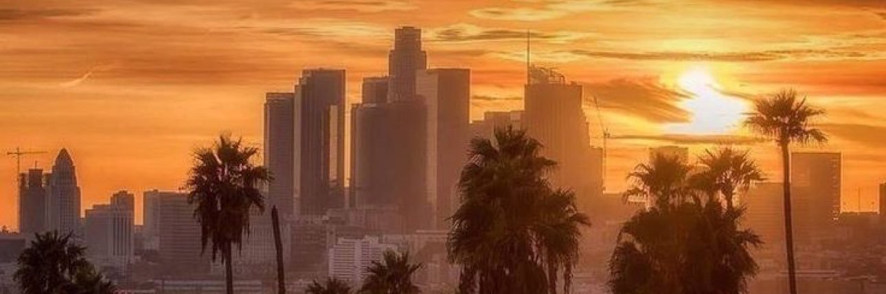 ayyyallyy's profile banner image