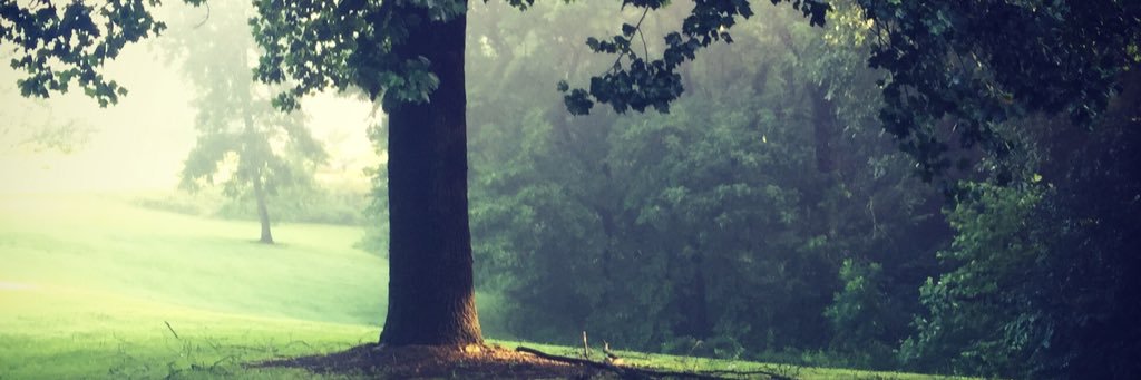 christahusk's profile banner image