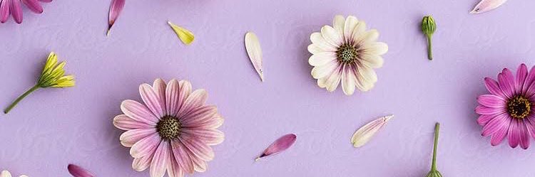 g_chambers98's profile banner image