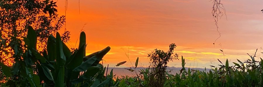 rodolfchamorro's profile banner image