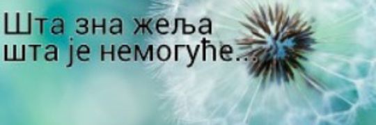 Svetlica84's profile banner image