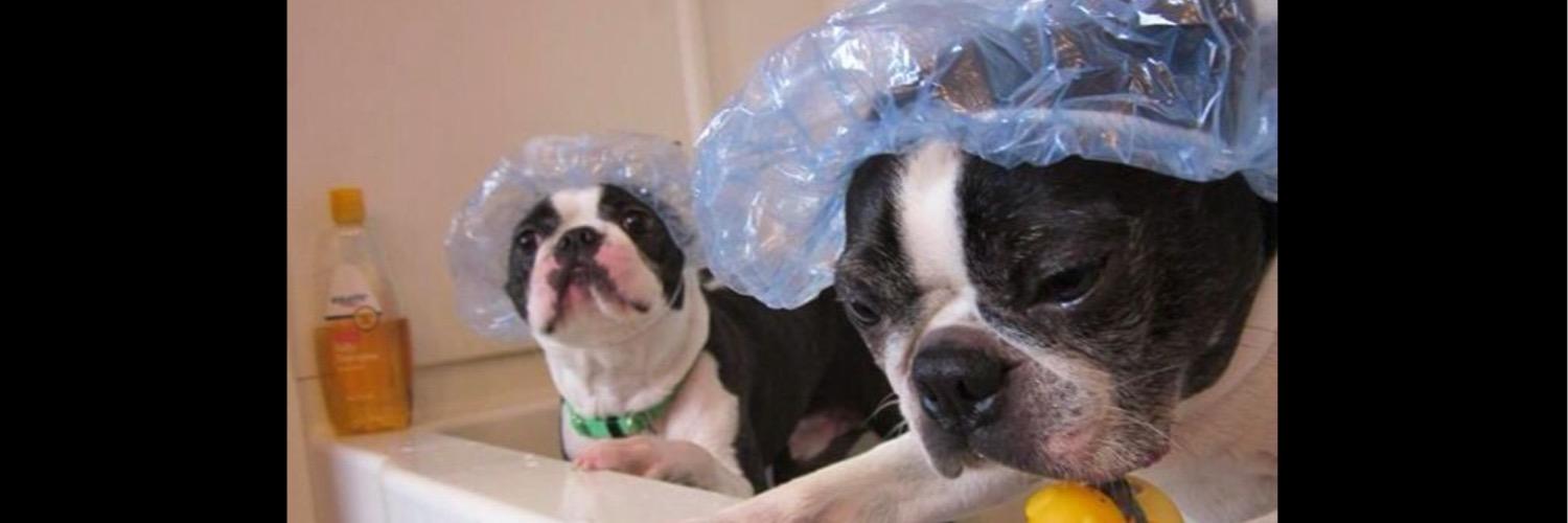 Cheri ..🇨🇦 banner