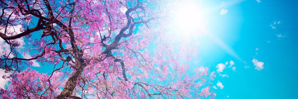 CindyNaceur's profile banner image