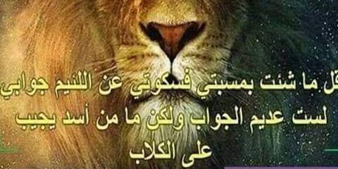 alsofany2255's profile banner image