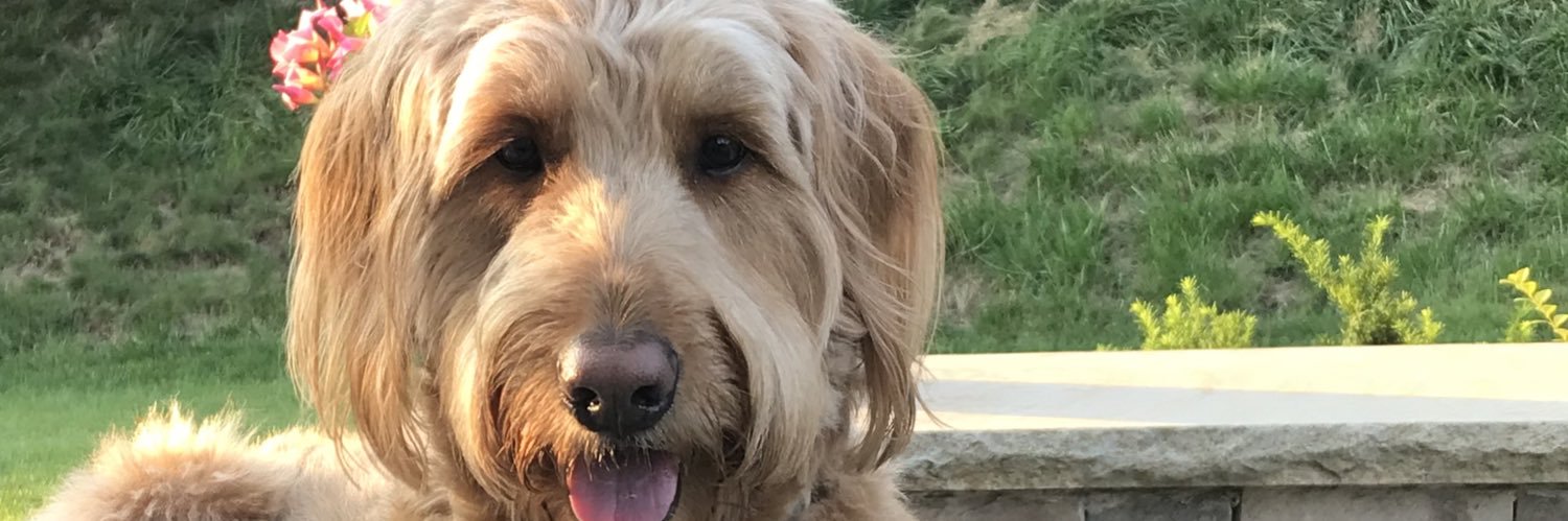 jberriinger's profile banner image