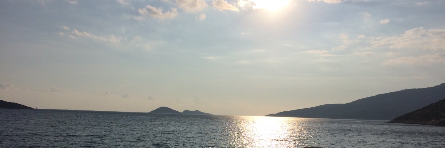 ognovali's profile banner image