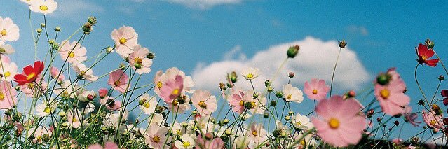 AndertonDaley's profile banner image