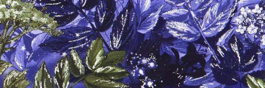 Tweetsfromyann's profile banner image