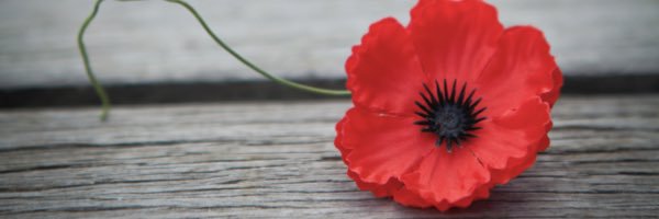 lovingit2's profile banner image
