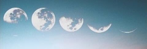 LaliOjeda's profile banner image