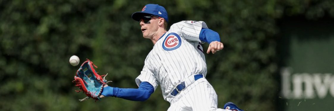 CubbySteph⚾️ banner