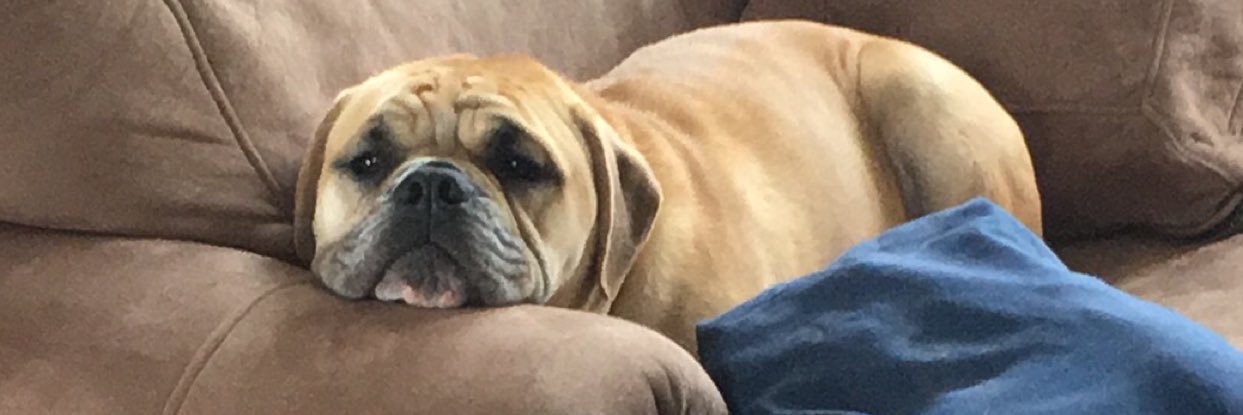 t_kessler2's profile banner image