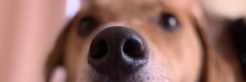 j_robs324's profile banner image