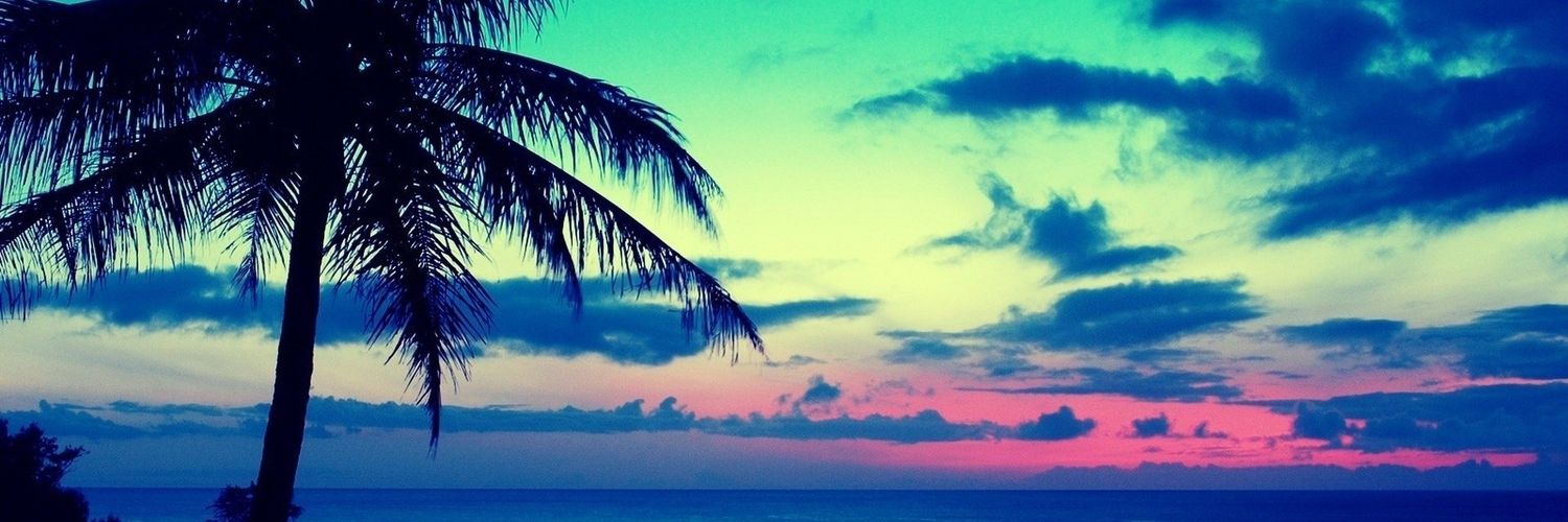 RealHookyduke's profile banner image
