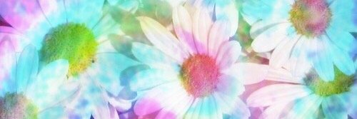 that_bittchh's profile banner image