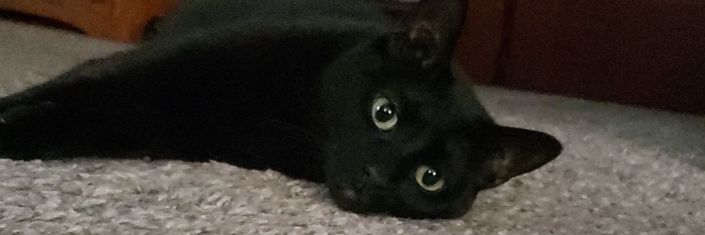 derrjr_'s profile banner image
