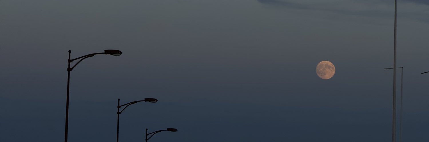 selenay_89's profile banner image