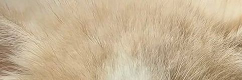 uknww's profile banner image