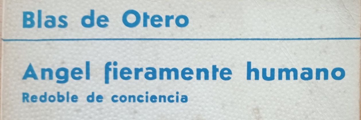 Angel Ruiz de V banner