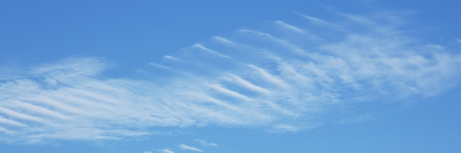 attractive nuisance banner