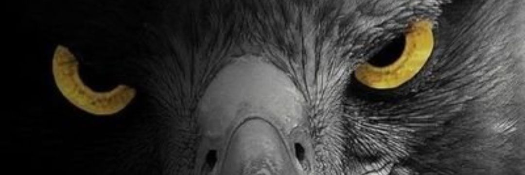 baltaciiomer's profile banner image