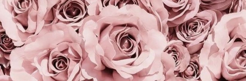 webb_danii's profile banner image