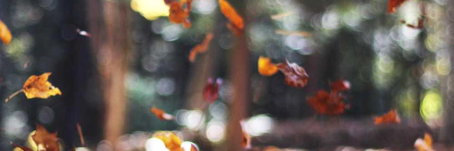 dhevron_23's profile banner image