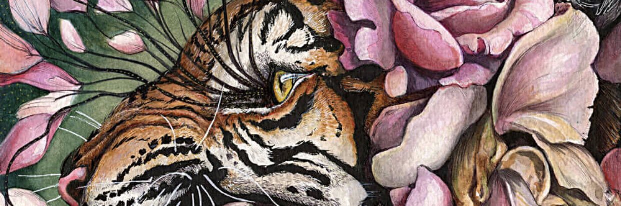 SfdeZ10's profile banner image