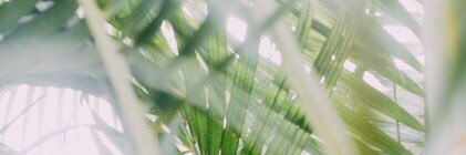Slvxox's profile banner image