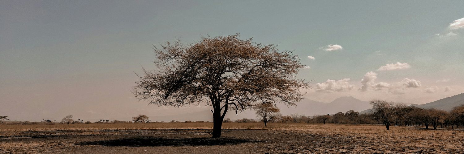 reysma_a's profile banner image