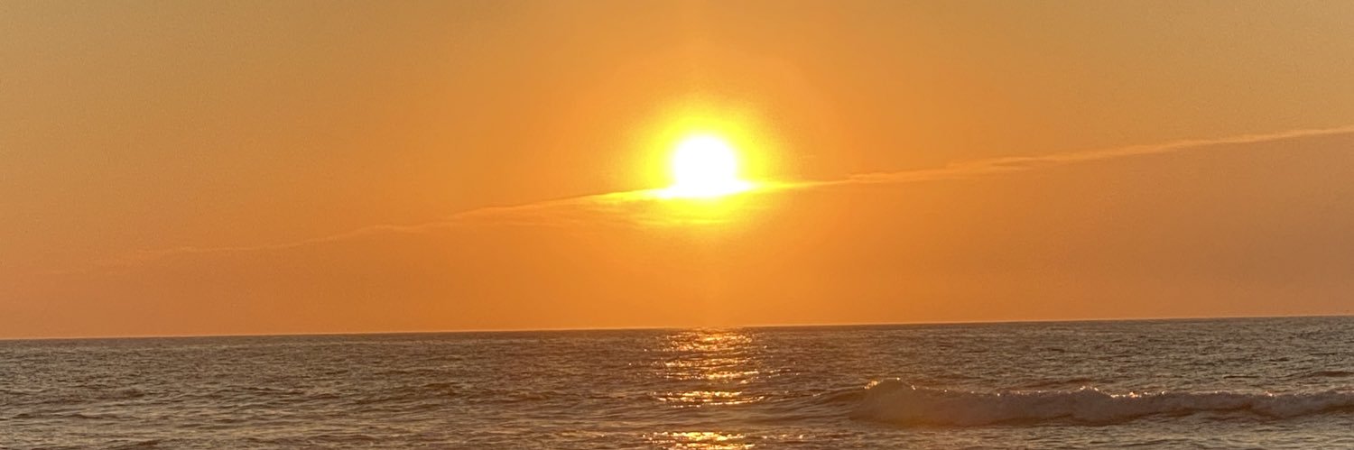eelyendys's profile banner image