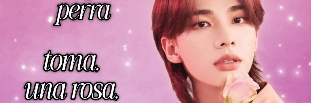 Aris ૮ ․ ․ ྀིა banner